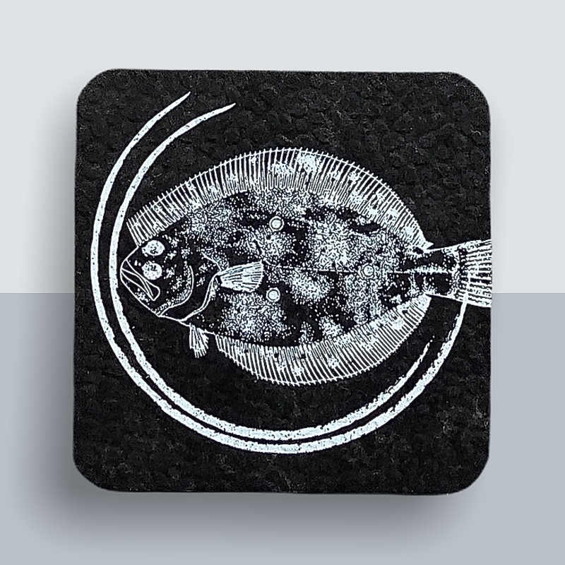 Plattfisch Kühlschrankmagnet von Kladdenjan in weiß | Kladdenjan