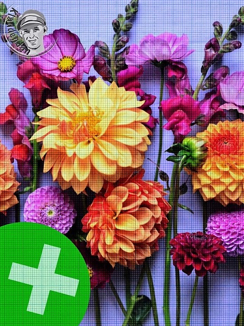 Kladdenjan Innovatives Premium Upcycling bunte Blumenpracht